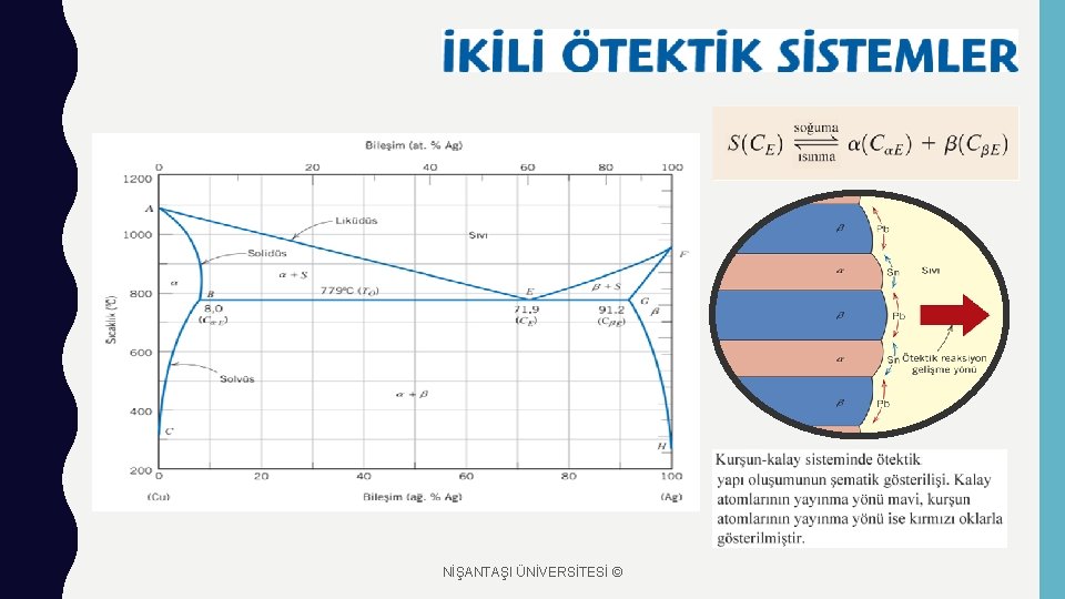 NİŞANTAŞI ÜNİVERSİTESİ © 