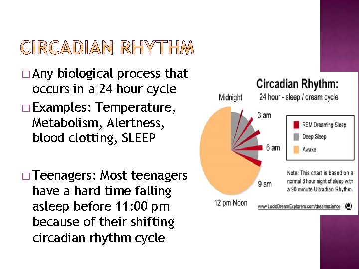 � Any biological process that occurs in a 24 hour cycle � Examples: Temperature,