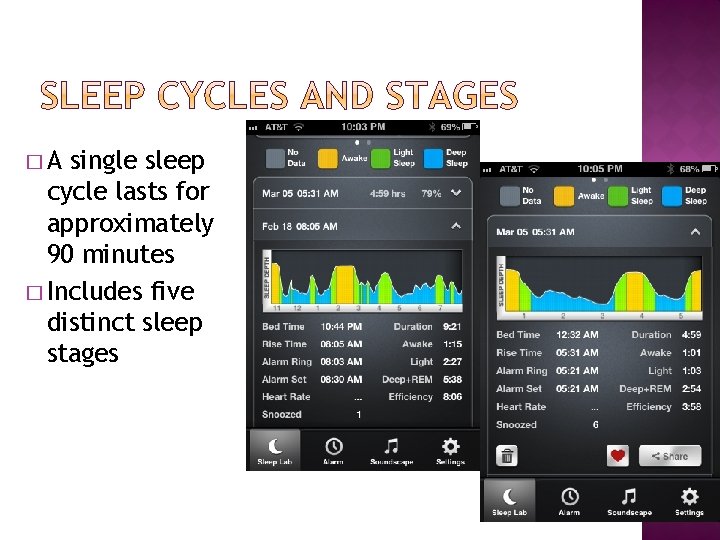 �A single sleep cycle lasts for approximately 90 minutes � Includes five distinct sleep