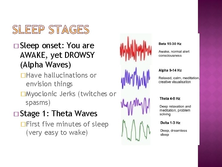 � Sleep onset: You are AWAKE, yet DROWSY (Alpha Waves) �Have hallucinations or envision