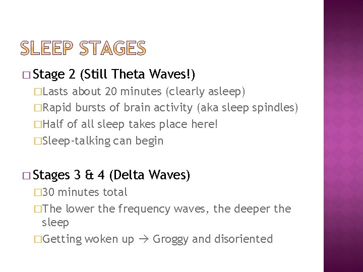 � Stage 2 (Still Theta Waves!) �Lasts about 20 minutes (clearly asleep) �Rapid bursts