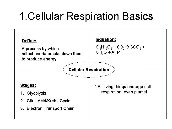 1. Cellular Respiration Basics Define: Equation: A process by which mitochondria breaks down food