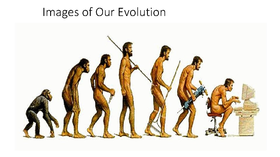 Images of Our Evolution 