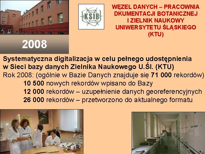 WĘZEŁ DANYCH – PRACOWNIA DKUMENTACJI BOTANICZNEJ I ZIELNIK NAUKOWY UNIWERSYTETU ŚLĄSKIEGO (KTU) 2008 Systematyczna