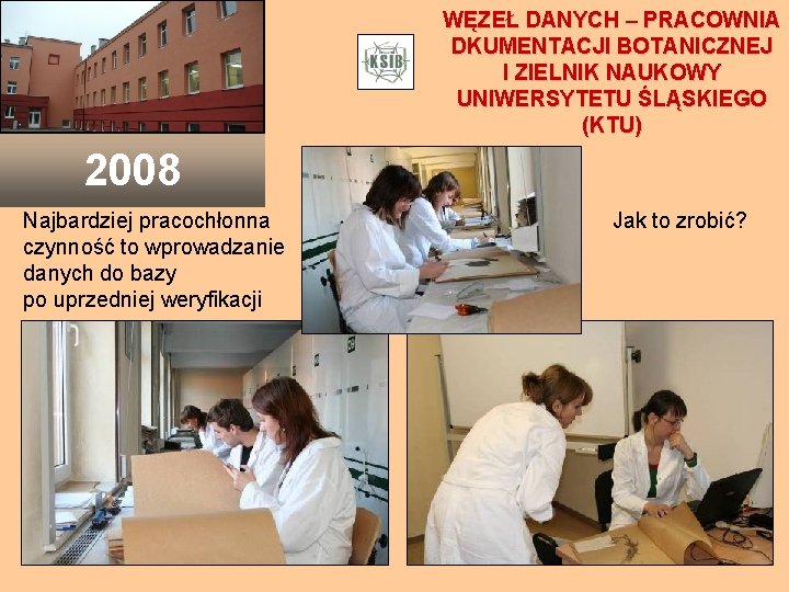 WĘZEŁ DANYCH – PRACOWNIA DKUMENTACJI BOTANICZNEJ I ZIELNIK NAUKOWY UNIWERSYTETU ŚLĄSKIEGO (KTU) 2008 Najbardziej