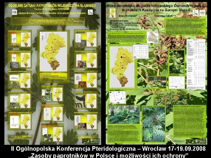 II Ogólnopolska Konferencja Pteridologiczna – Wrocław 17 -19. 09. 2008 „Zasoby paprotników w Polsce