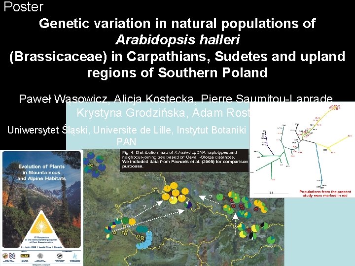 Poster Genetic variation in natural populations of Arabidopsis halleri (Brassicaceae) in Carpathians, Sudetes and