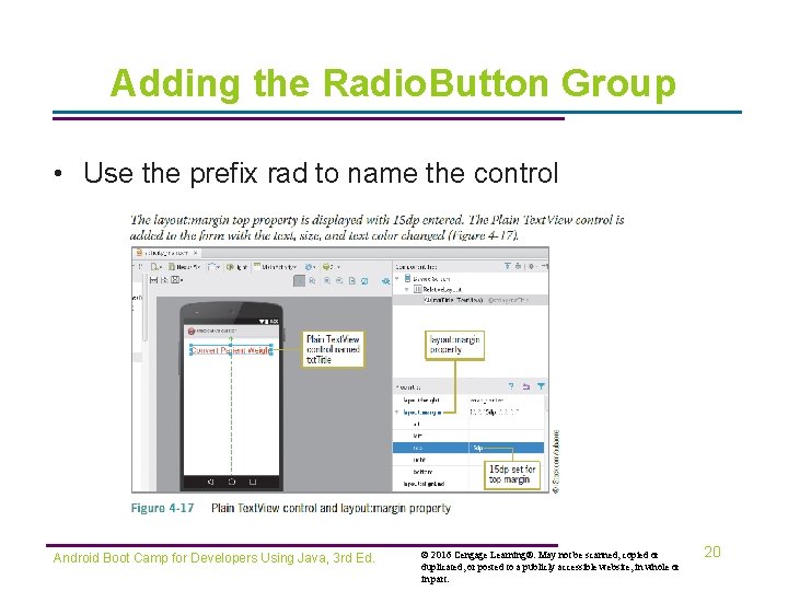 Adding the Radio. Button Group • Use the prefix rad to name the control