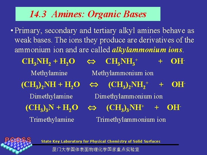 14. 3 Amines: Organic Bases • Primary, secondary and tertiary alkyl amines behave as