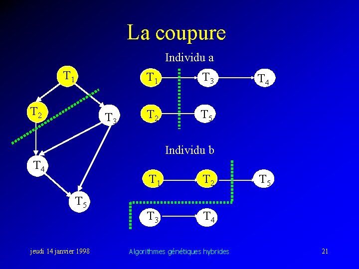 La coupure Individu a T 1 T 2 T 3 T 1 T 3