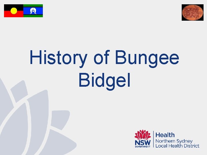 History of Bungee Bidgel 