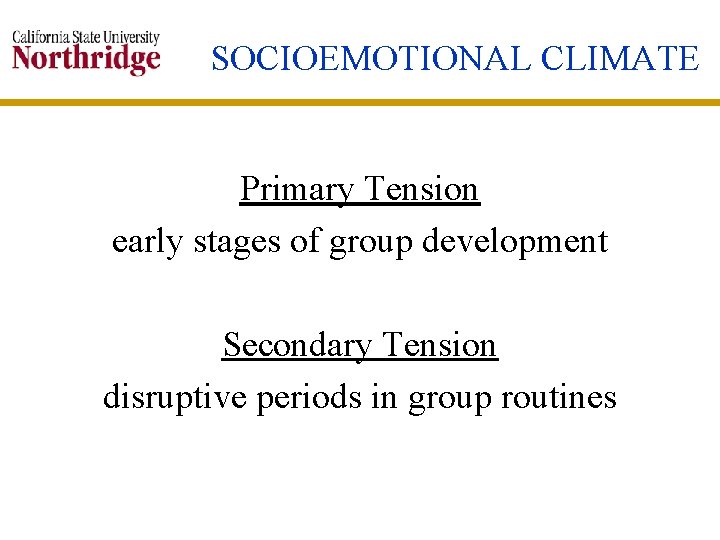 SOCIOEMOTIONAL CLIMATE Primary Tension early stages of group development Secondary Tension disruptive periods in