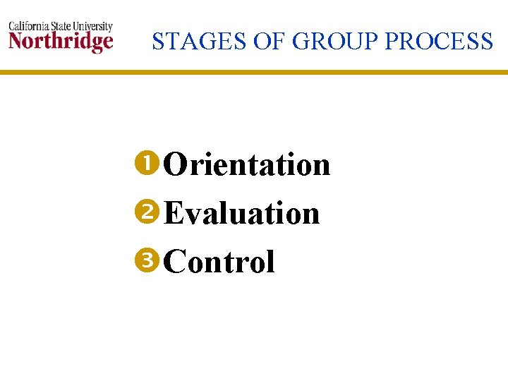 STAGES OF GROUP PROCESS Orientation Evaluation Control 