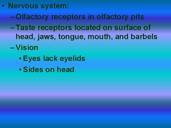  • Nervous system: – Olfactory receptors in olfactory pits – Taste receptors located