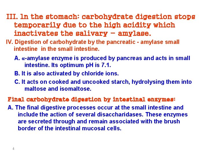 III. ln the stomach: carbohydrate digestion stops temporarily due to the high acidity which