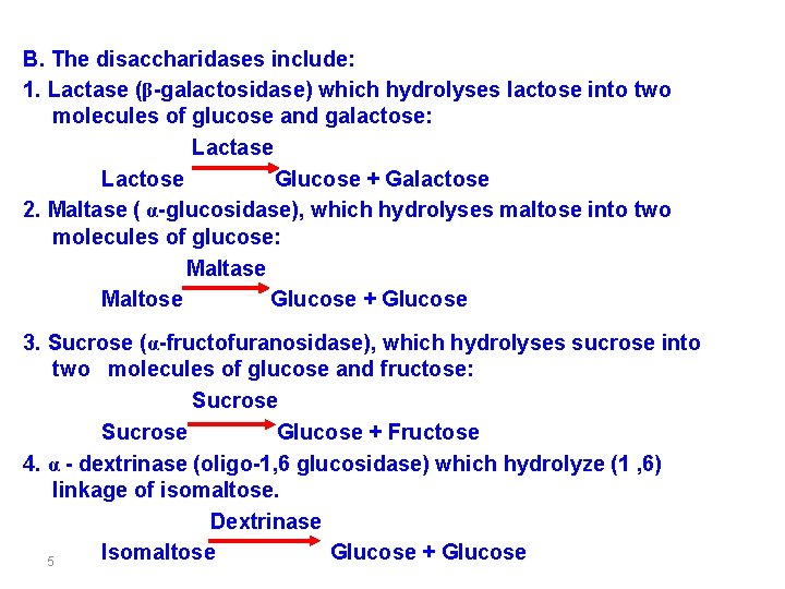 B. The disaccharidases include: 1. Lactase (β-galactosidase) which hydrolyses lactose into two molecules of
