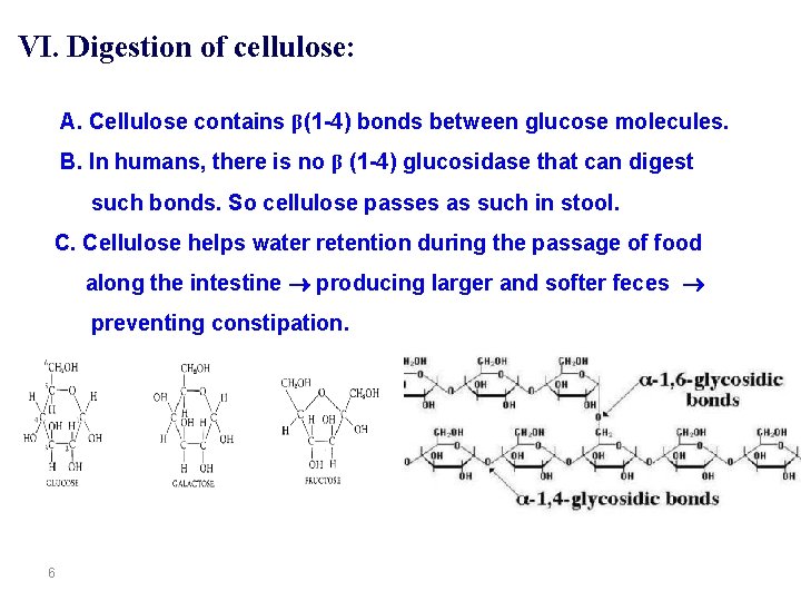 VI. Digestion of cellulose: A. Cellulose contains β(1 -4) bonds between glucose molecules. B.
