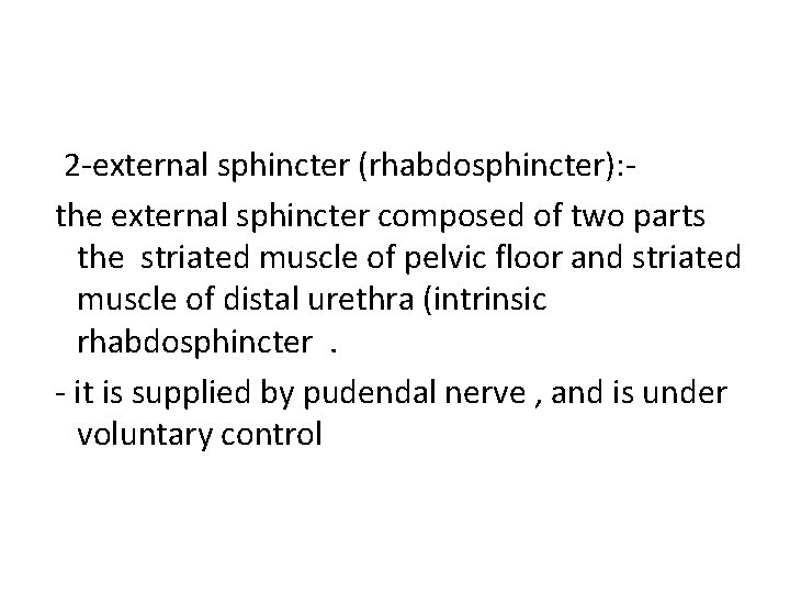 2 -external sphincter (rhabdosphincter): the external sphincter composed of two parts the striated muscle