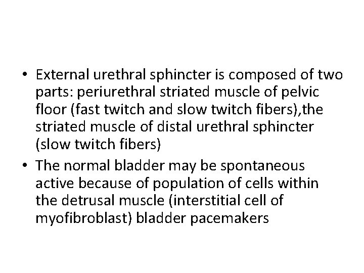  • External urethral sphincter is composed of two parts: periurethral striated muscle of