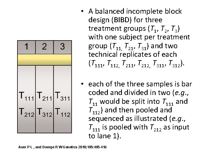  • A balanced incomplete block design (BIBD) for three treatment groups (T 1,