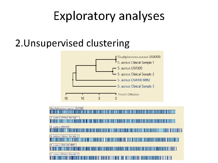 Exploratory analyses 2. Unsupervised clustering 
