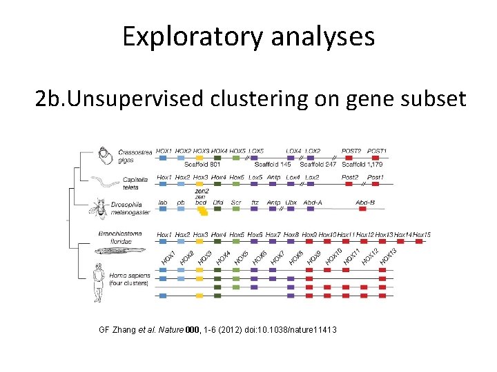 Exploratory analyses 2 b. Unsupervised clustering on gene subset GF Zhang et al. Nature
