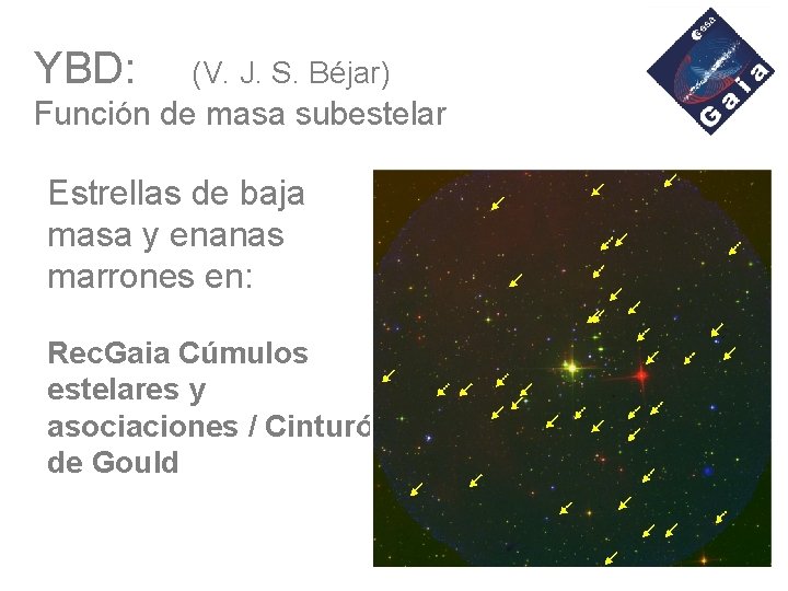 YBD: (V. J. S. Béjar) Función de masa subestelar Estrellas de baja masa y