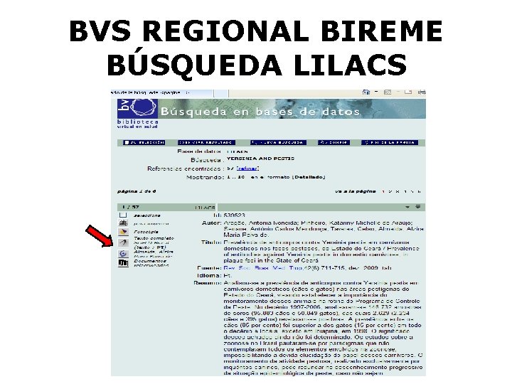 BVS REGIONAL BIREME BÚSQUEDA LILACS 