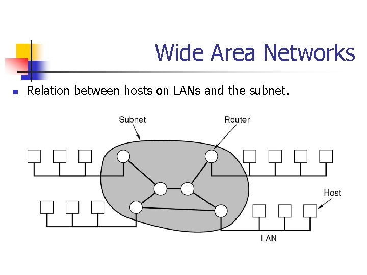 Wide Area Networks n Relation between hosts on LANs and the subnet. 