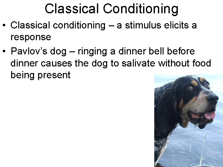 Classical Conditioning • Classical conditioning – a stimulus elicits a response • Pavlov’s dog