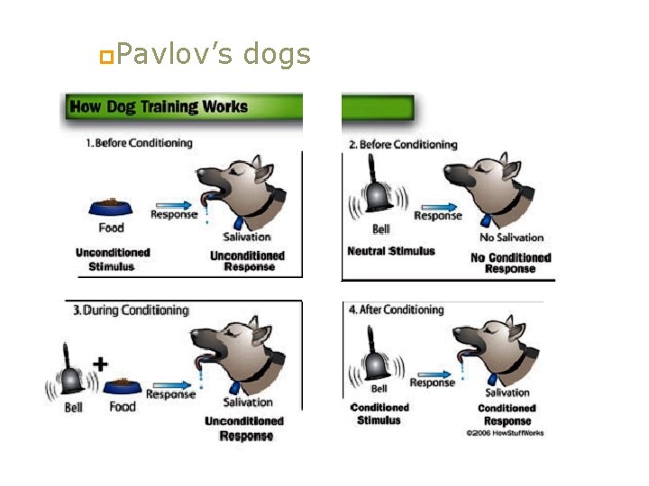 p. Pavlov’s dogs 