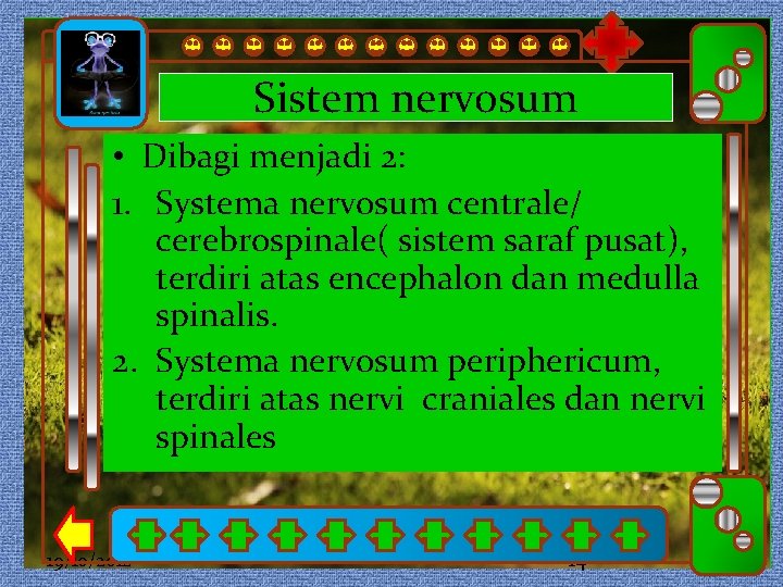 Sistem nervosum • Dibagi menjadi 2: Click to edit Master subtitle style Click to