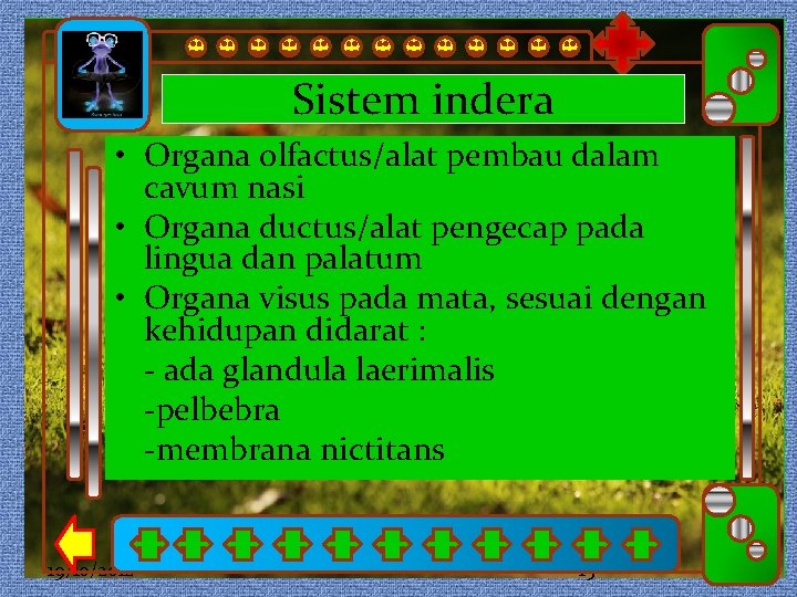 Sistem indera • Organa olfactus/alat pembau dalam Click to edit Master subtitle style Click