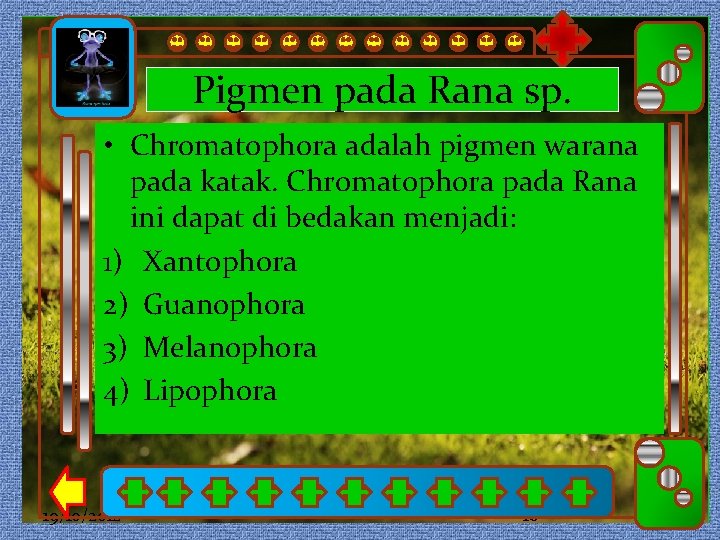 Pigmen pada Rana sp. • Chromatophora adalah pigmen warana Click to edit Master subtitle