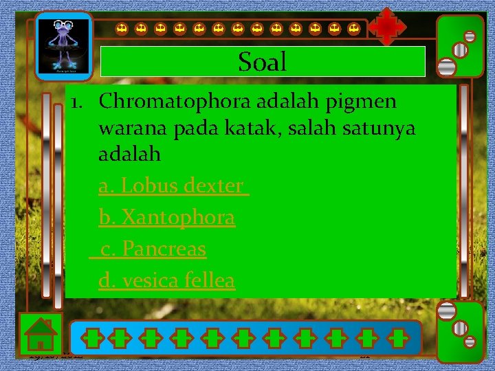 Soal 1. Click Chromatophora adalah pigmen to edit Master subtitle style Click to edit