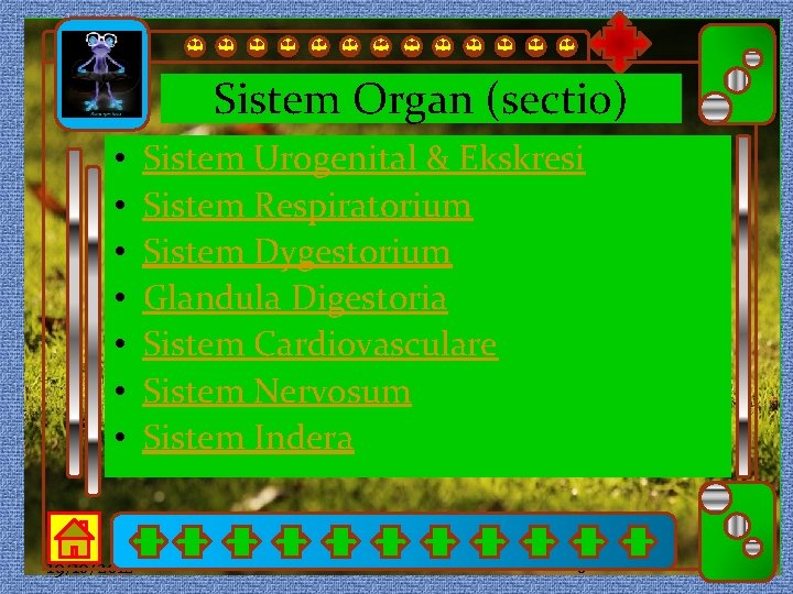 Sistem Organ (sectio) • • 19/10/2012 Sistem Urogenital & Ekskresi Click to edit Master