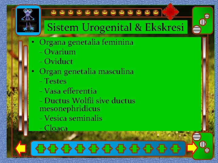 Sistem Urogenital & Ekskresi • Organa genetalia feminina Click to edit Master subtitle style