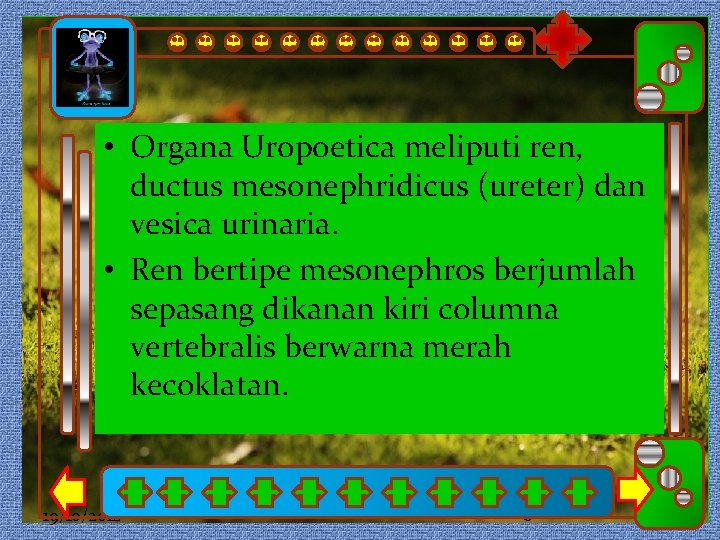  • Organa meliputi ren, Click to Uropoetica edit Master subtitle style Click to