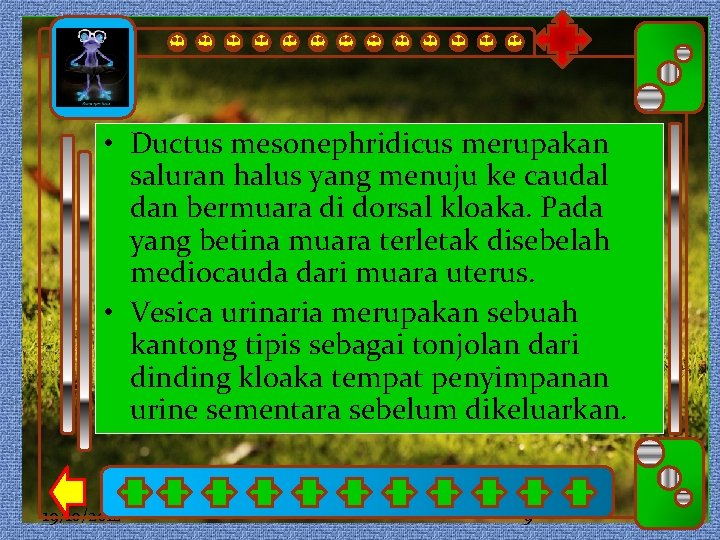  • Ductus mesonephridicus merupakan Click to edit Master subtitle style Click to edit