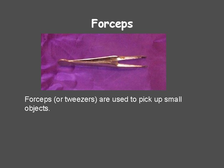 Forceps (or tweezers) are used to pick up small objects. 