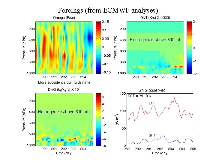 Forcings (from ECMWF analyses) Homogenize above 600 mb More subsidence during daytime Ship-observed SST