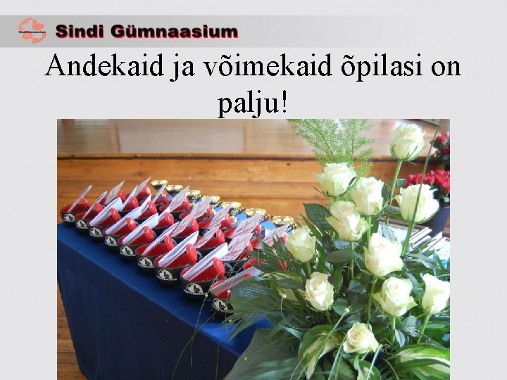 Andekaid ja võimekaid õpilasi on palju! 