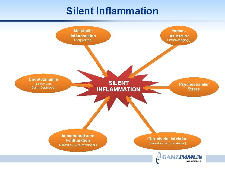 Silent Inflammation Metabolic Inflammation Immunseneszenz (Adipositas) (Inflammaging) Endotoxinämie SILENT INFLAMMATION (Leaky Gut, Darm-Dysbiose) Immunologische