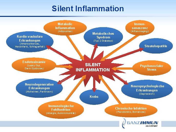 Silent Inflammation Metabolic Inflammation (Adipositas) Kardio-vaskuläre Erkrankungen Immunseneszenz Metabolisches Syndrom (Inflammaging) (Typ 2 -Diabetes)