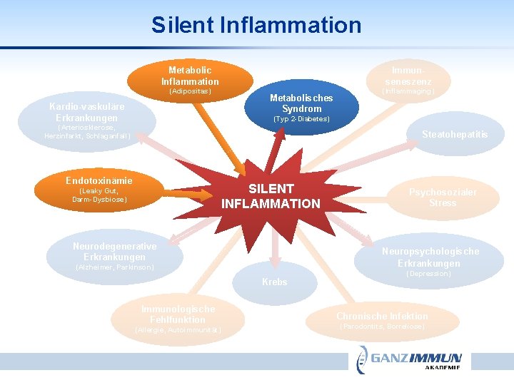 Silent Inflammation Metabolic Inflammation (Adipositas) Kardio-vaskuläre Erkrankungen Immunseneszenz Metabolisches Syndrom (Inflammaging) (Typ 2 -Diabetes)