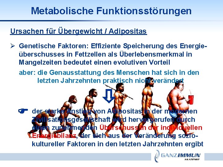 Metabolische Funktionsstörungen Ursachen für Übergewicht / Adipositas Ø Genetische Faktoren: Effiziente Speicherung des Energieüberschusses