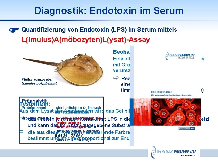 Diagnostik: Endotoxin im Serum Quantifizierung von Endotoxin (LPS) im Serum mittels L(imulus)A(möbozyten)L(ysat)-Assay Beobachtung: Eine