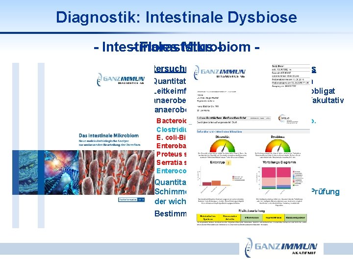 Diagnostik: Intestinale Dysbiose - Intestinales - Floraststus Mikrobiom Untersuchungsparameter des Florastatus 1. Quantitative Bestimmung