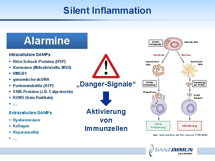 Silent Inflammation Sterile Entzündung DAMPs Alarmine DAMPs intrazellulär („Damage Associated Molecular Patterns“) Intrazelluläre DAMPs