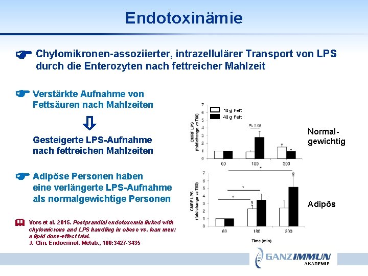 Endotoxinämie intrazellulärer Transport von LPS Chylomikronen-assoziierter, durch die Enterozyten nach fettreicher Mahlzeit Aufnahme von